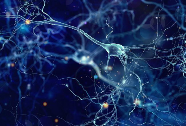 simposio-cirugia-epilepsia